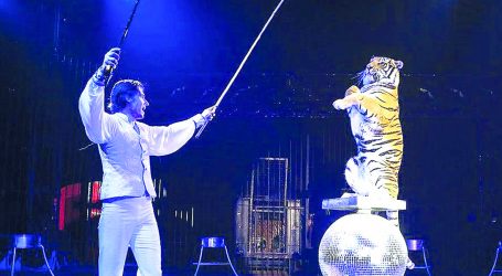 American Circus… Dalla parte della fantasia