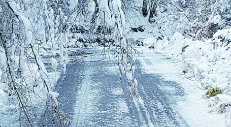 Il gelicidio colpisce ancora la Valle Staffora