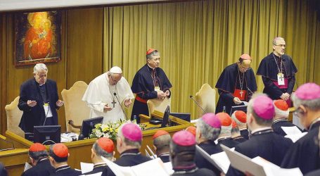 “La protezione dei minori nella Chiesa”