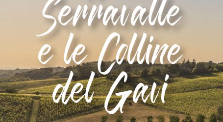 “Novi, Serravalle e le Colline del Gavi” nella guida bilingue