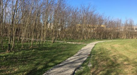 Il Bosco Negri apre a settembre. Forse