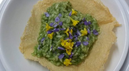 Risotto con crema di ortiche