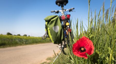 «Un’occasione unica di rilancio per tanti paesi»