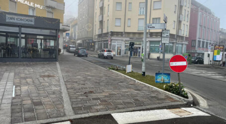 Il “Giovane Fisarmonicista”, la statua parlante