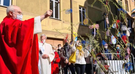 Benedetto l’“Albero della pace” a S. Pietro