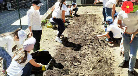 Piccoli agricoltori seminano l’orto didattico a scuola