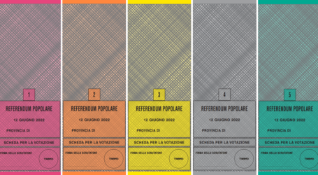 Basta un referendum per un’emergenza?