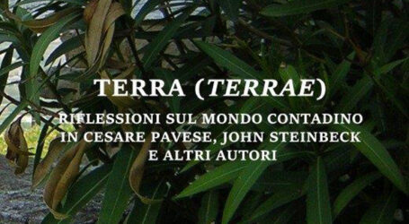 Terra (Terrae), dalle radici al mondo