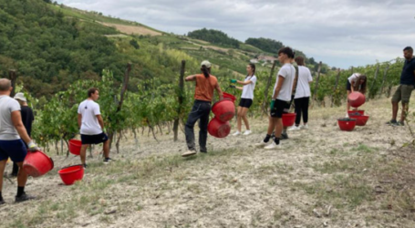 “In vino libertas” nelle “Terre di Mezzo”