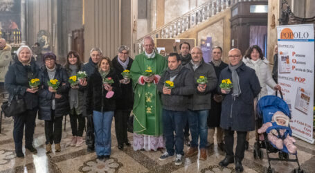 L’opera dei CAV e le primule segno di rinascita