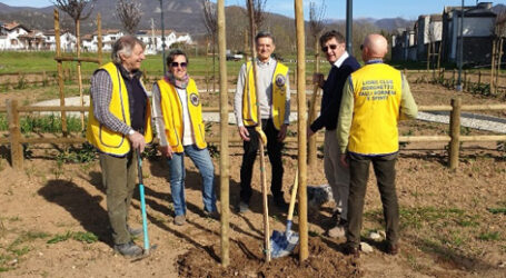 Nasce il “Bosco Diffuso Lions”