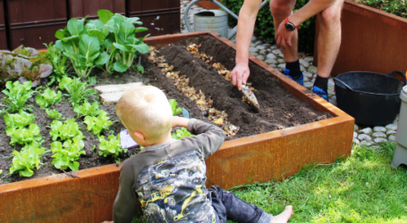 Compost disponibile per i giardini