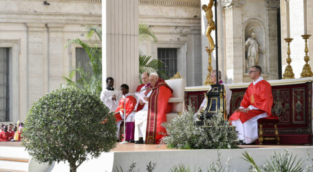 Il Papa, dimesso dall’ospedale, ha celebrato le Palme