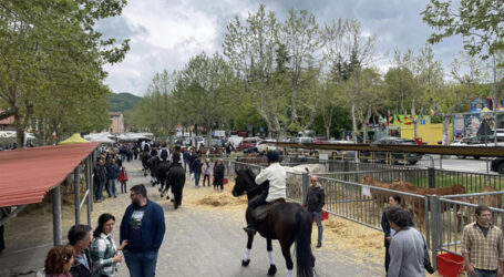 Grande successo per la Fiera a Varzi