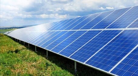 Parco fotovoltaico: 23.000 pannelli e 150 posti di lavoro