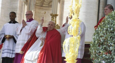 «Gesù Re umile e pacifico»
