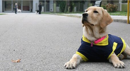 A teatro per donare un cane guida a un cieco