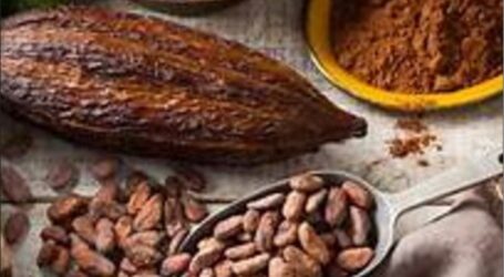 Il prezzo alle stelle del cacao preoccupa il polo dolciario