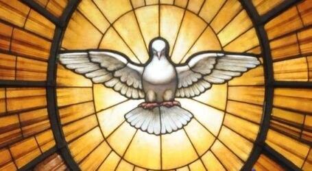 In festa a Pentecoste nella luce del Risorto