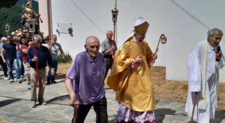 «Maria ci aiuti a custodire la pace donata da Gesù Pastore buono»