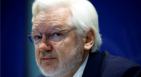Ora parla Assange