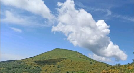 Inviate al ministero le osservazioni sul progetto eolico “Monte Giarolo”