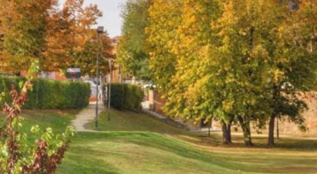 Telecamere nel parco Brugnatelli