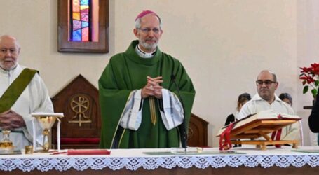 Domenica di preghiera al Sacro Cuore