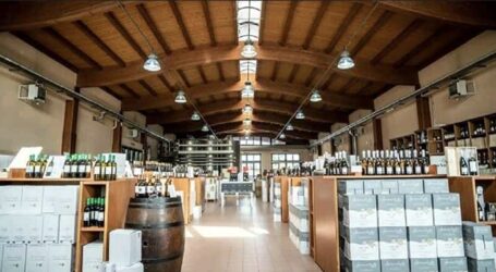 La Cantina “Terre” prova a salvare la vendemmia