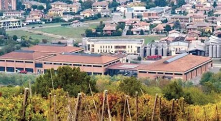 La Cantina Terre in liquidazione