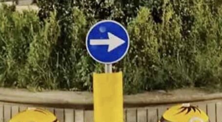 I panettoni stradali sono Minions