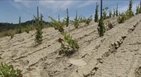 Frane: l’Oltrepò in un progetto europeo