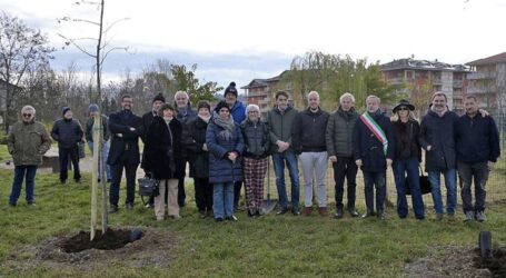 Nasce il “Bosco della Memoria”