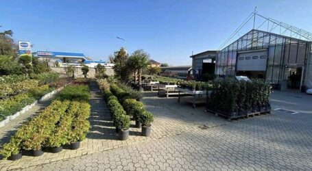 Il centro deve diventare “luogo dell’esperienza”