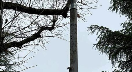 L’illuminazione pubblica in città sarà più efficiente