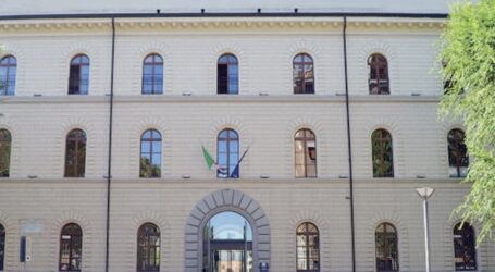 Ok al regolamento per la tutela degli animali