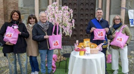 Raccolti più di 3.000 euro per la Senologia di Tortona