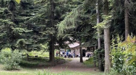 Il Giardino Botanico nel 2026 ha superato i mille visitatori
