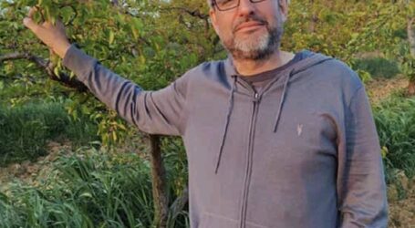 Produzione in calo ma ottima qualità